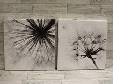 Load image into Gallery viewer, Black &amp; White Dandelion Flower Canvas Wall Art - Set of 2 - Used