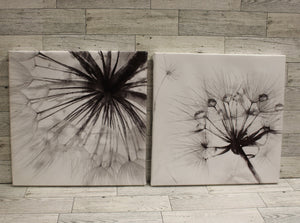 Black & White Dandelion Flower Canvas Wall Art - Set of 2 - Used