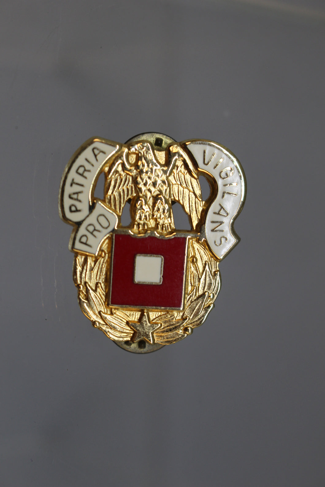 Army Pro Patria Vigilans Pin - Used