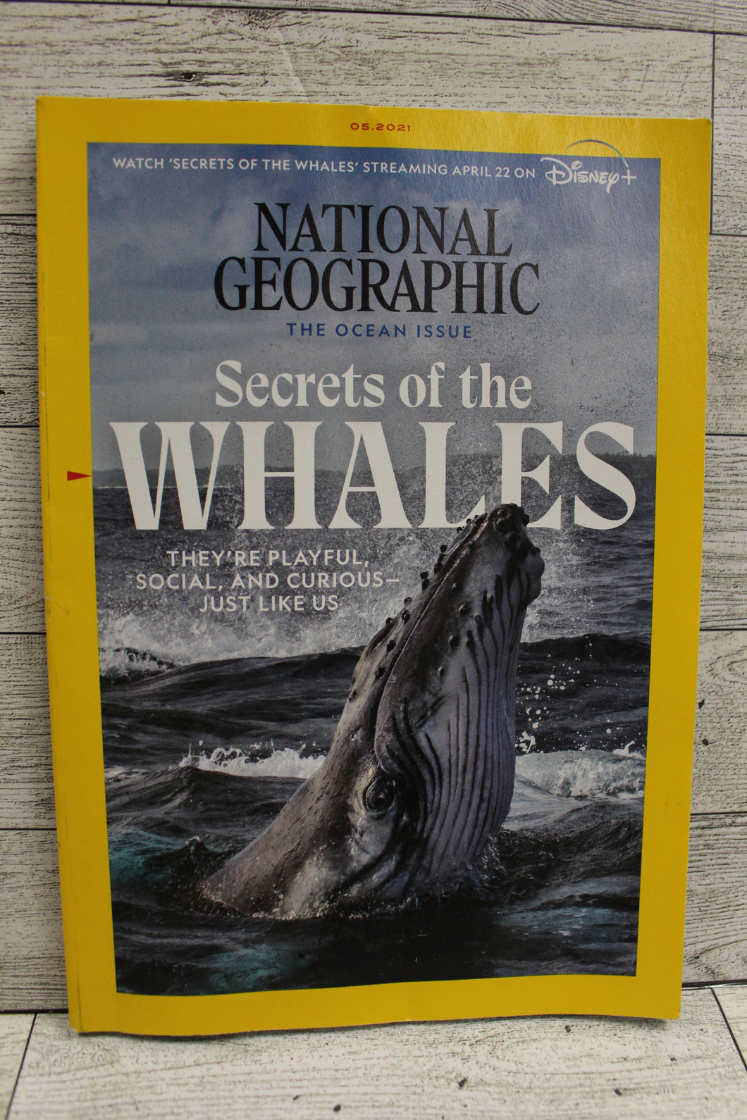 National Geographic The Ocean Issue Secrets Of The Whales -Used