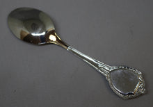 Load image into Gallery viewer, Colorado YMCA of the Rockies Collectible Souvenir Spoon - Used