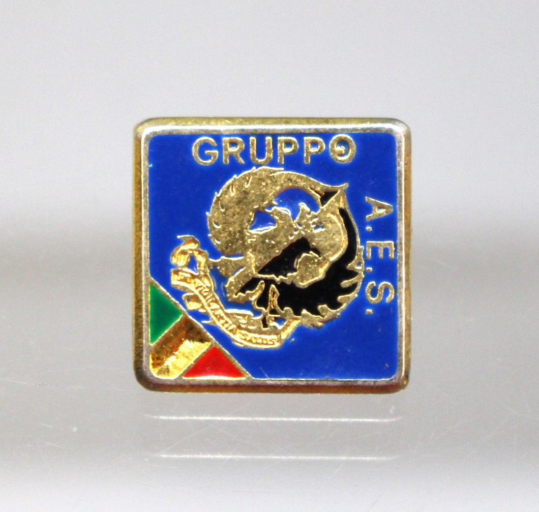 Italy Interforce Intelligence Center AES Pin - GRUPPO - Used