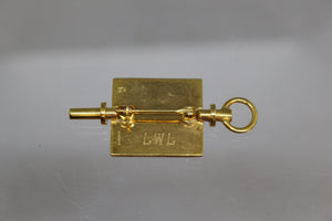 Sigma Lota Epsilon Pin - Used