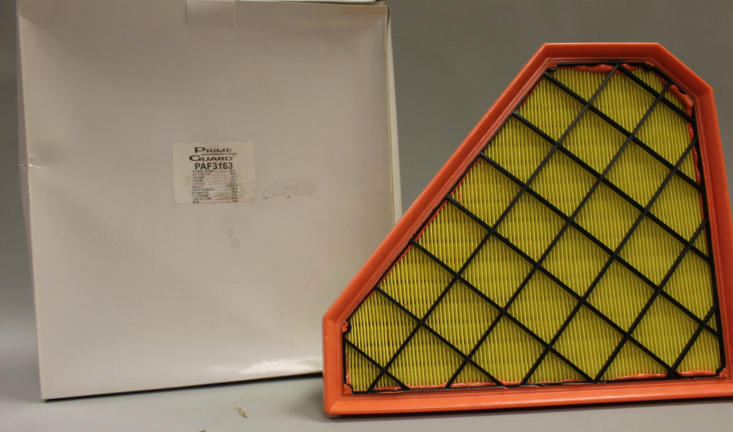 Prime Guard Air Filter - PAF3163 - A90051 - New