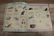 Load image into Gallery viewer, Little Large Softback Cats Book With Korean Translation -Used